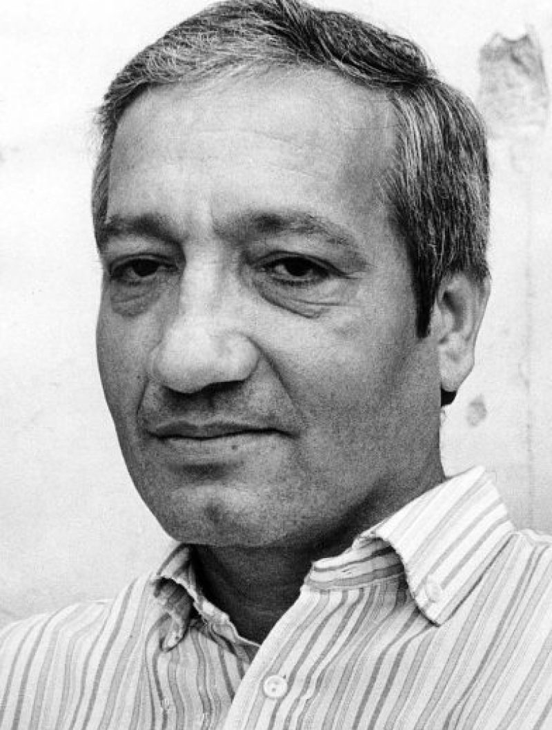 Portret Hermana Vogla