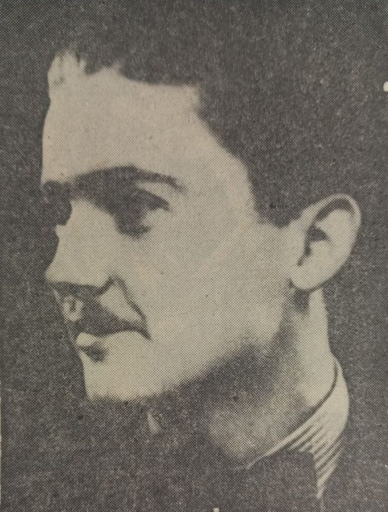 Portret - Vladimir VOJSKA