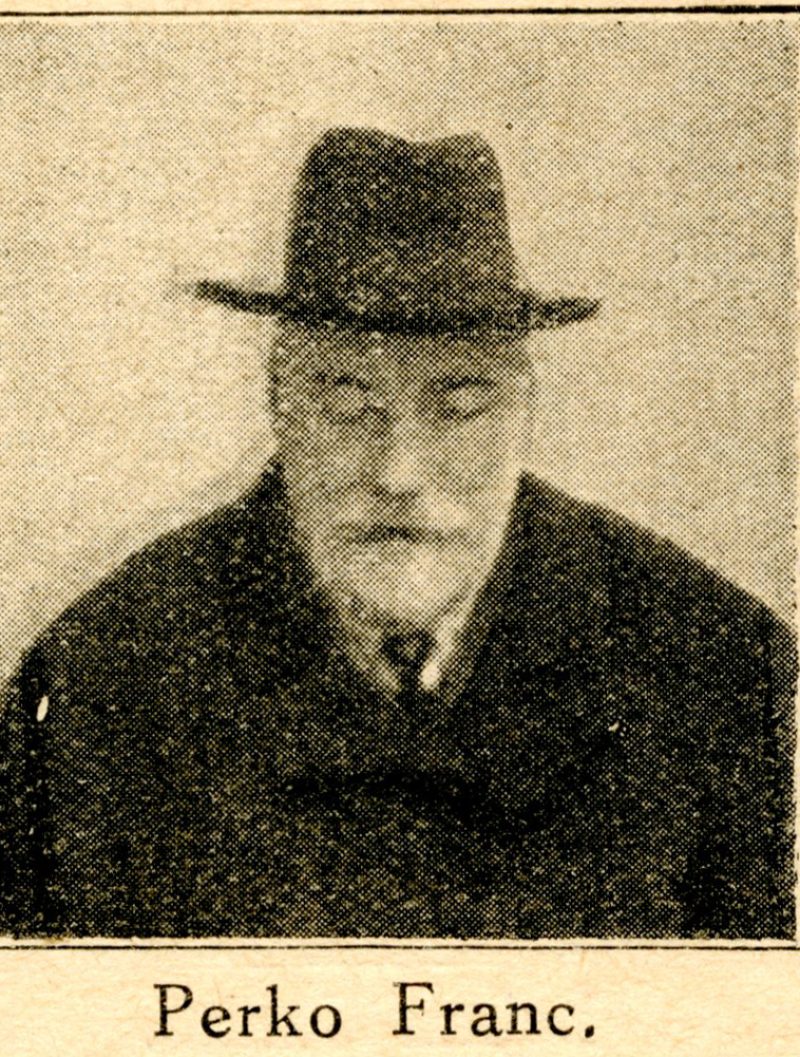 Portret - Franc PERKO