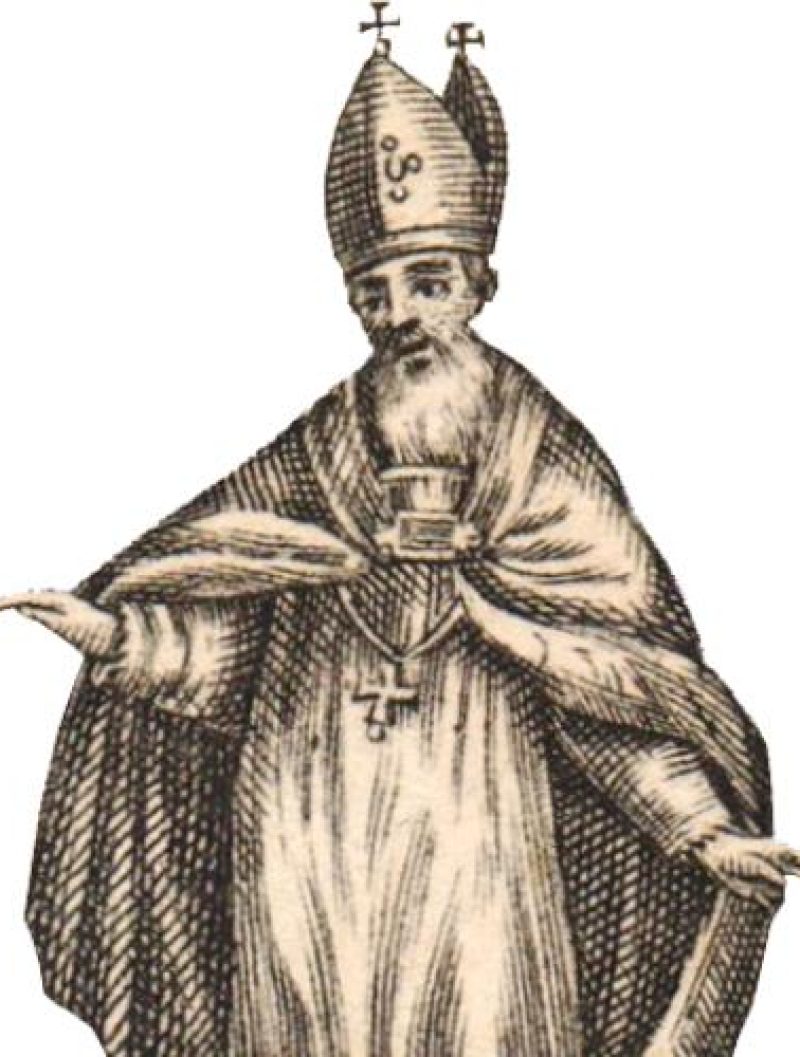 CELJSKI Maksimilijan