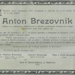 BREZOVNIK Anton 