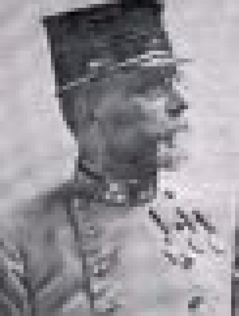 STERGAR (STERGER), Avgust