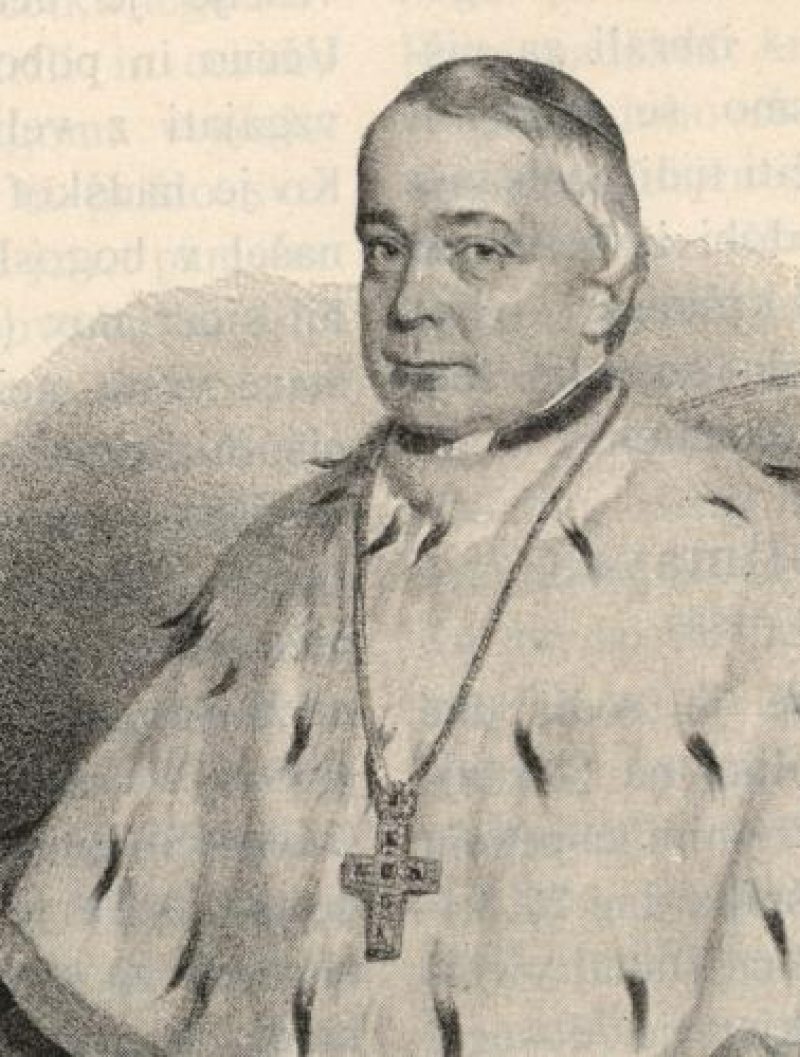 GOLLMAYER Andrej