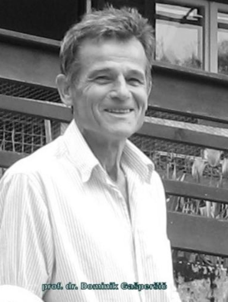 GAŠPERŠIČ Dominik