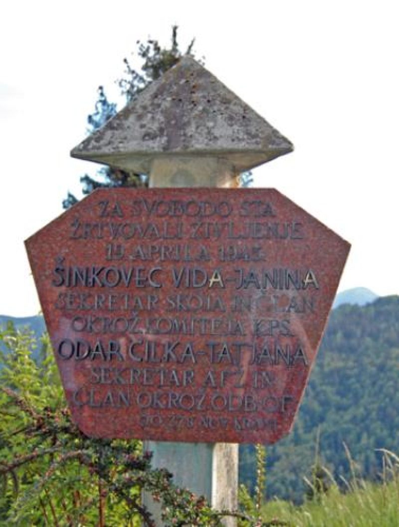 ŠINKOVEC  Vida
