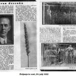 JESENKO Fran (Franc)