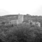 REIFENBERG plemiška družina