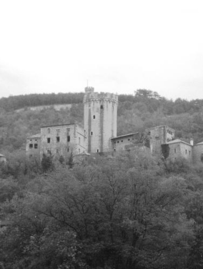 REIFENBERG plemiška družina