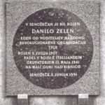 ZELEN Danilo