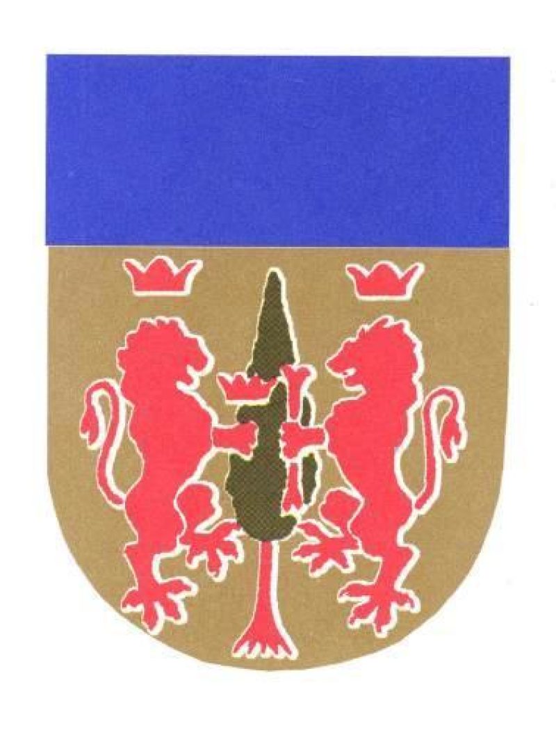 BORISI plemiška rodbina