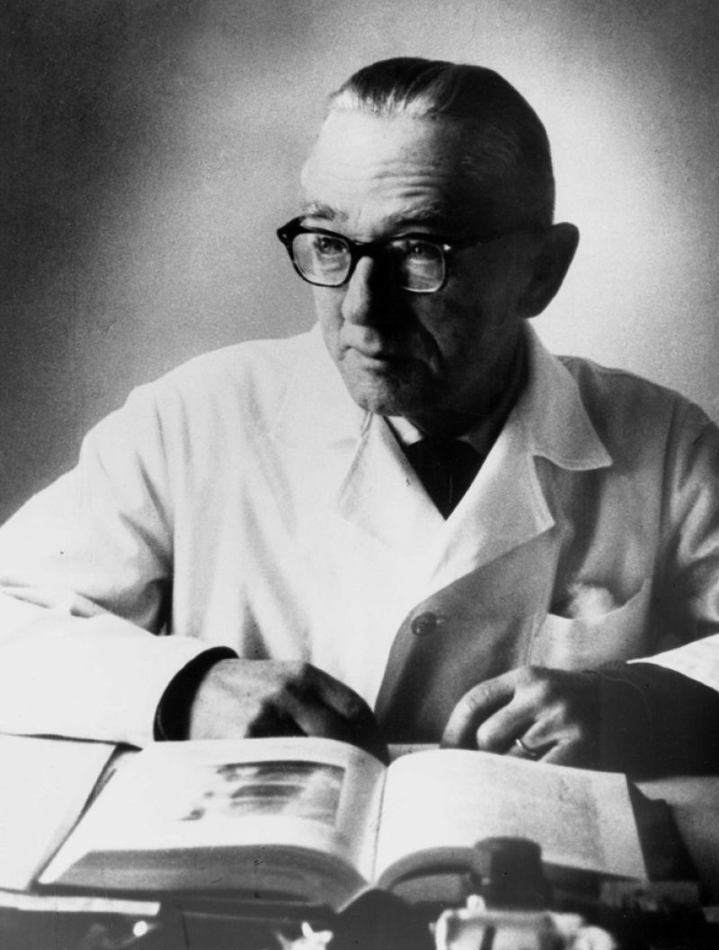 Portret - Ivan MARINČIČ