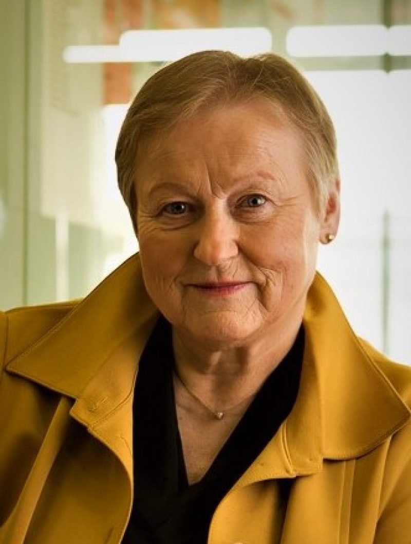 Brodnjak Silvestra