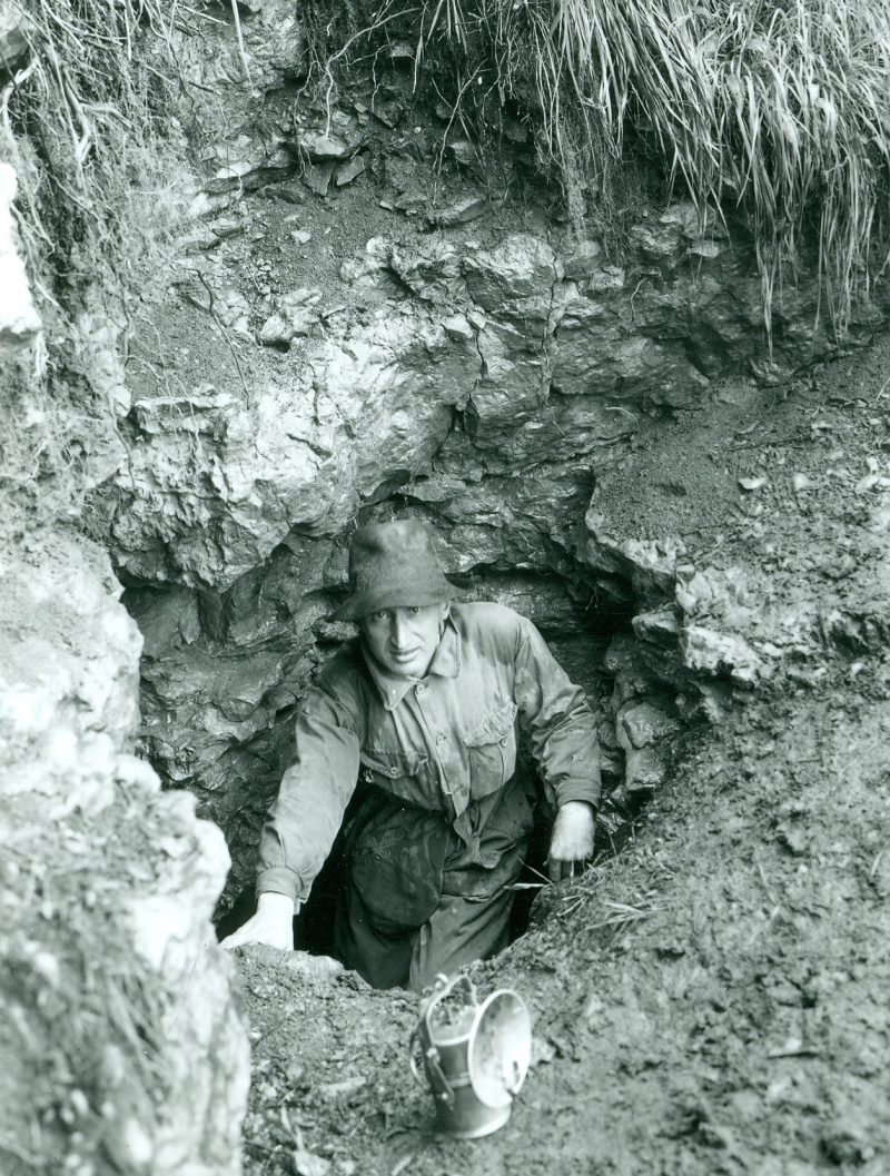 Portret - Egon PRETNER