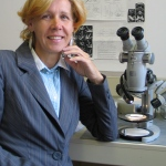 KOLAR-JURKOVŠEK, Tea