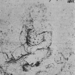 BOGATAJ, Ignac