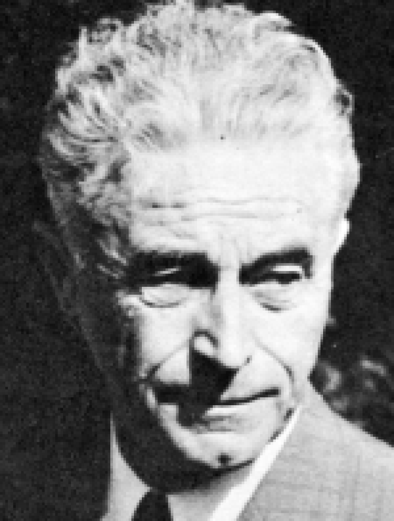 Portret - Viktor PETKOVŠEK