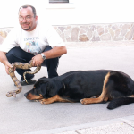JERANT, Frančišek