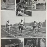 TRATNIK (por. Bakarčič), Jelka