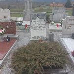 MEDVED, Maksimiljan