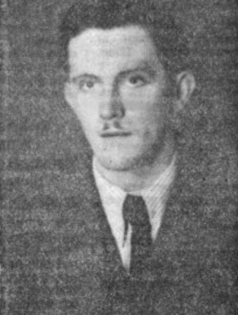Portret Bogomirja (Mirka) Kresnika