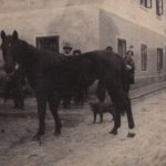 Daroslav (Slavko) SMOLE